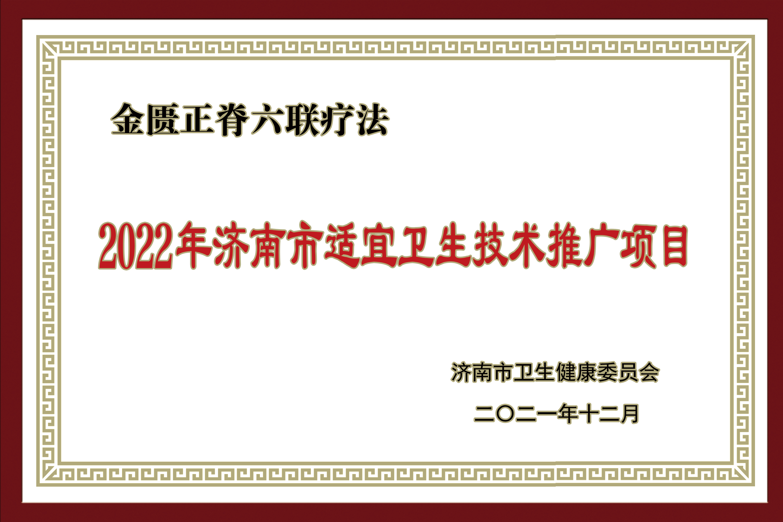 2022年濟南市適宜衛生技術(shù)推廣項目